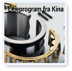 Lejeprogram-fra-Kina